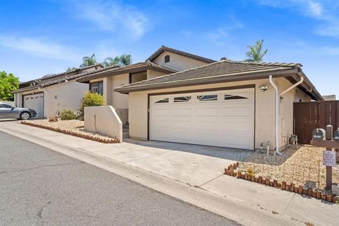 1973 Buckskin Escondido CA 92027