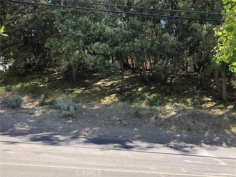 Photo of 2117 Alder Ct, Pine Mountain Club, CA 93222 (MLS # SR26138901)