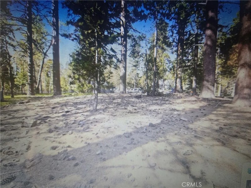 0 Pine Ridge