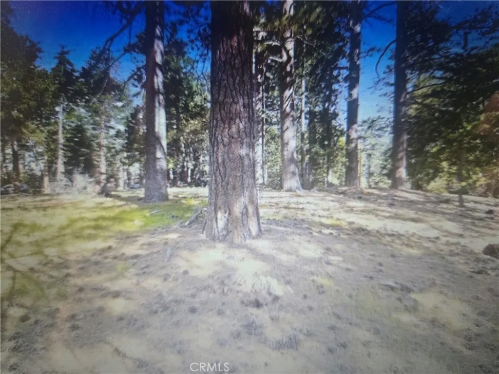 0 Pine Ridge