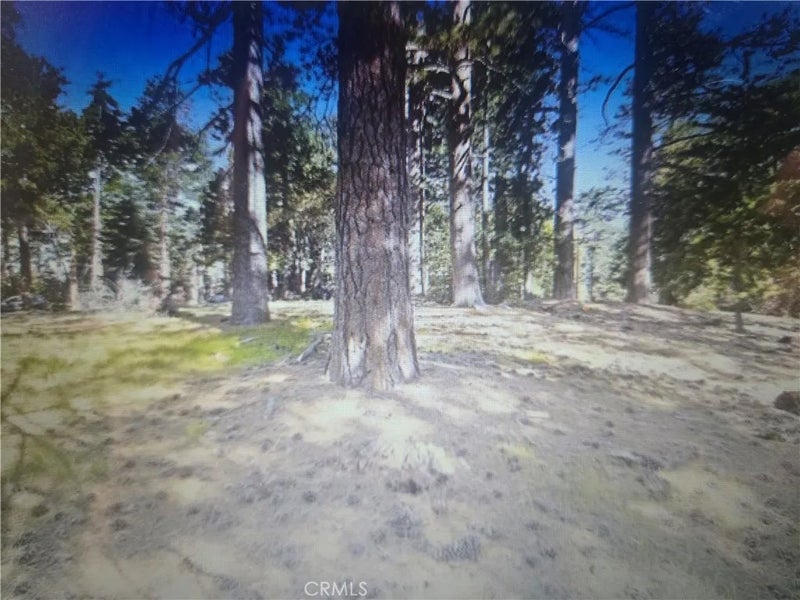0 Pine Ridge