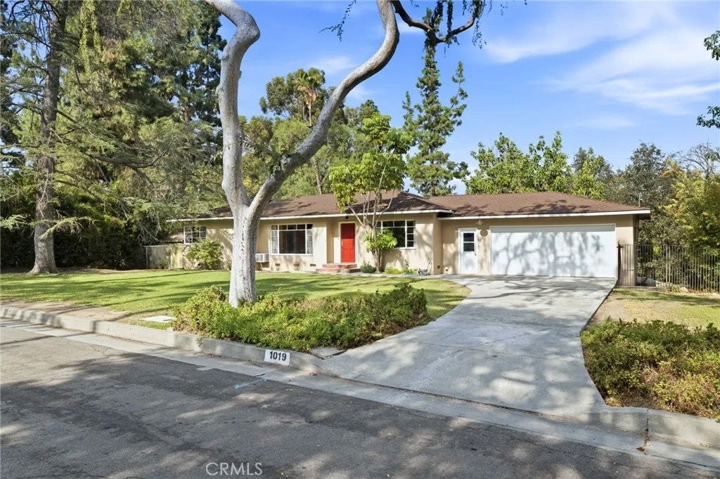 1019 Grandview