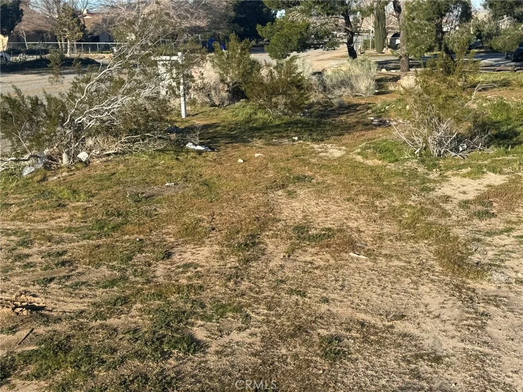 0 El Rio