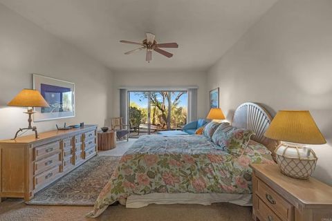 Tiny photo for 2842 Fonts Point Drive, Borrego Springs, CA 92004 (MLS # NDP2508640)