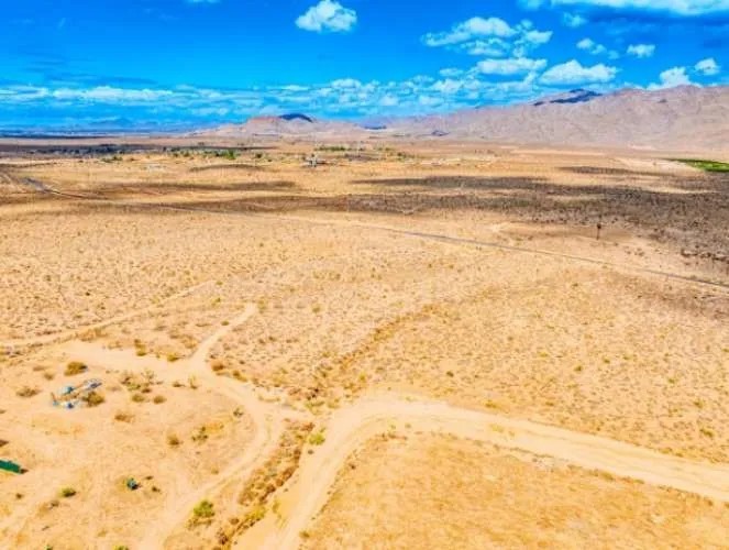 0 Ocotillo