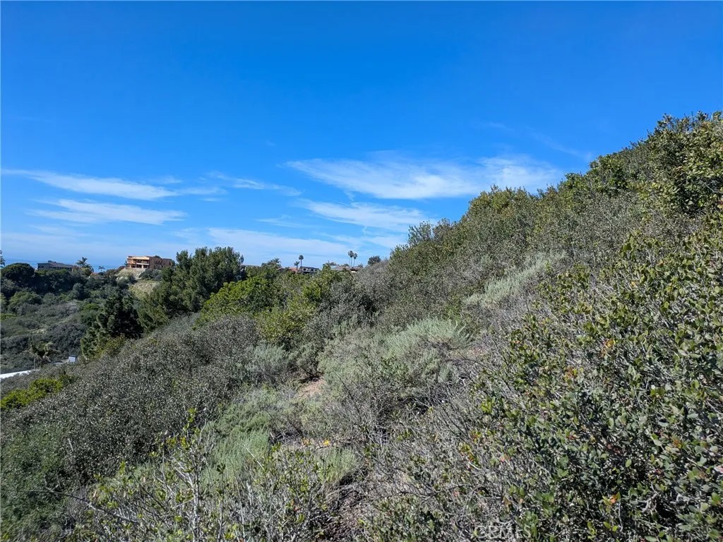 504 E Avenida San Juan