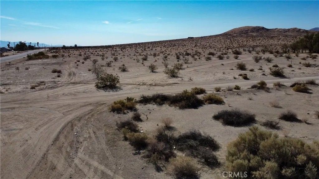 Photo of 782 Amboy, 29 Palms, CA 92277 (MLS # HD25252343)