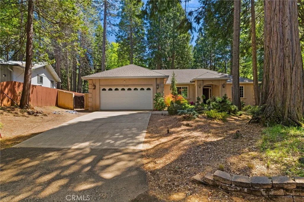 14124 Rollins Court