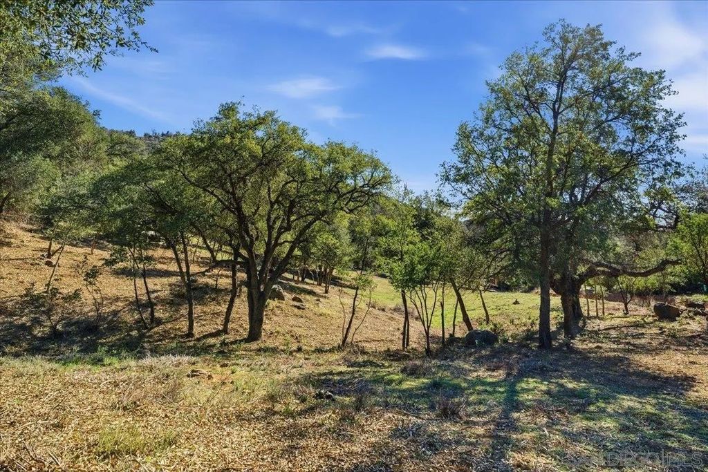 Photo of 5672 Forest Meadow Rd, Julian, CA 92036 (MLS # 260003720)