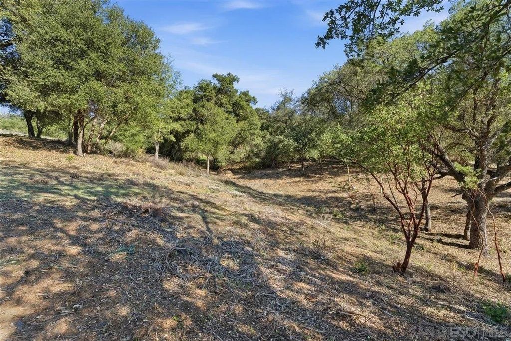 Photo of 5672 Forest Meadow Rd, Julian, CA 92036 (MLS # 260003720)