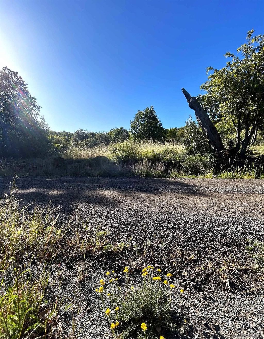 Photo of Oak Way, Julian, CA 92036 (MLS # 260011227)