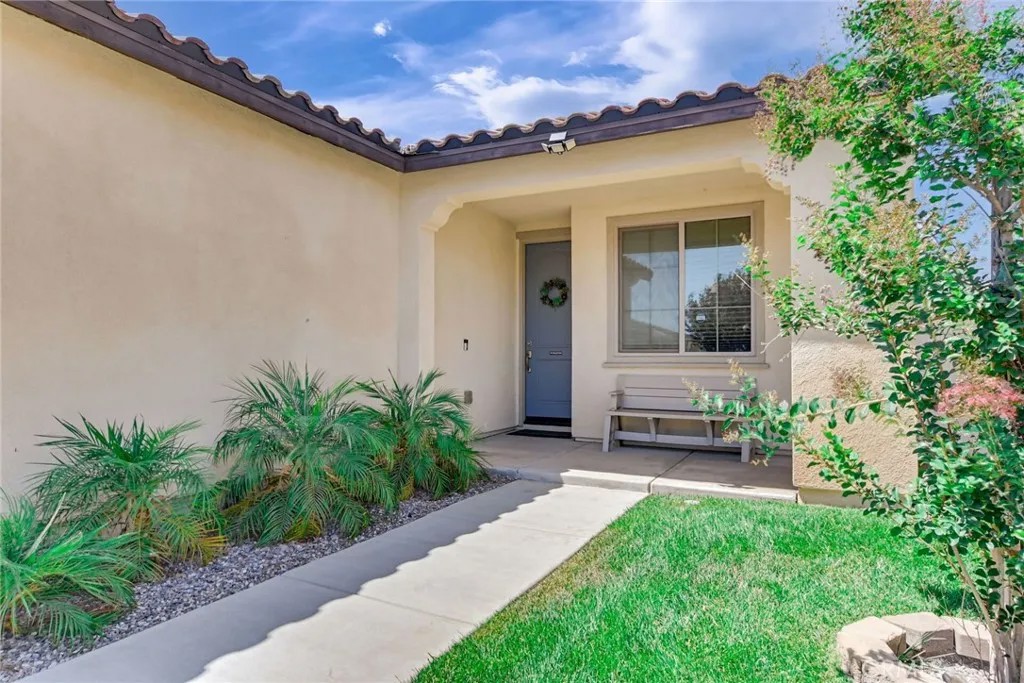 1336 Black Diamond
