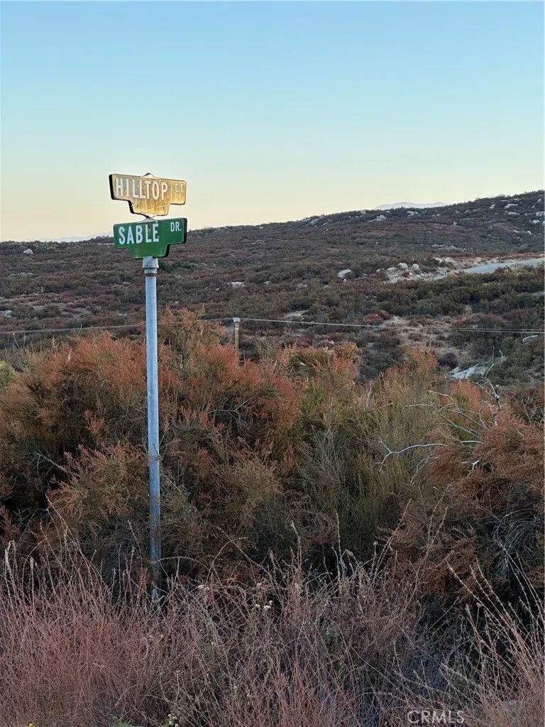 50 Sable