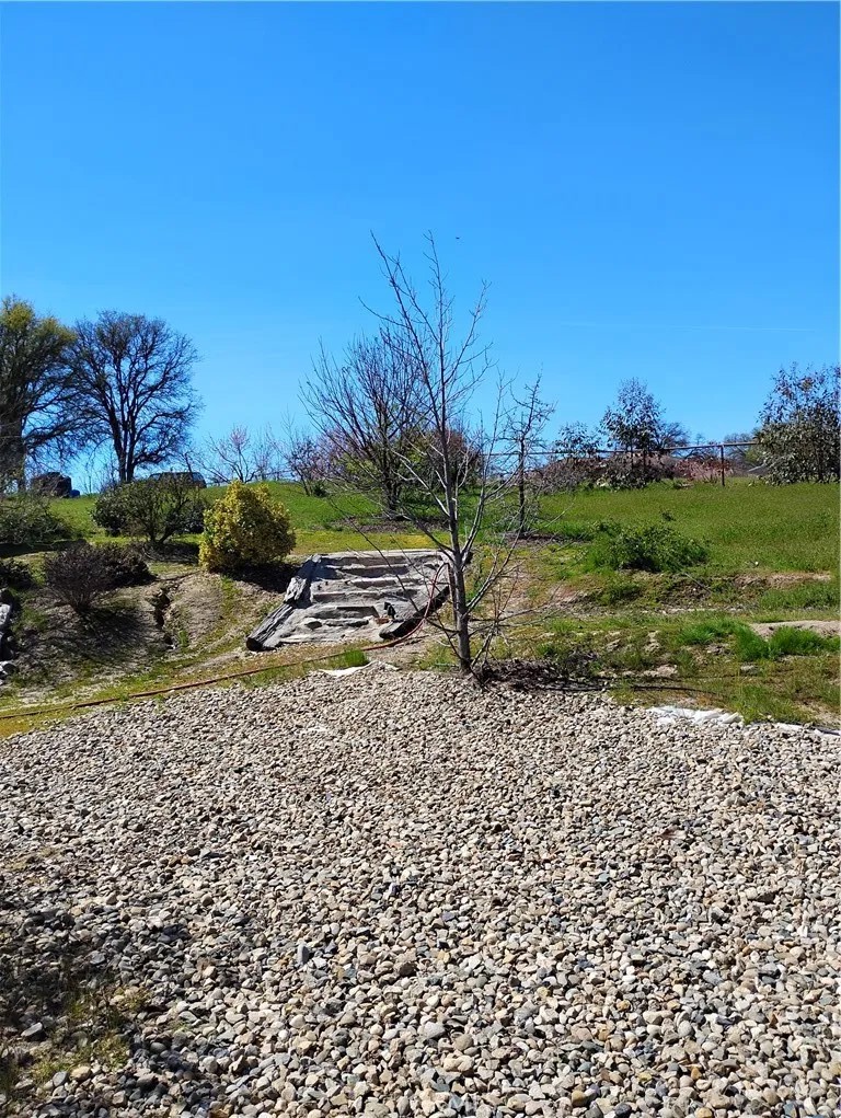 35371 Spanish Oak