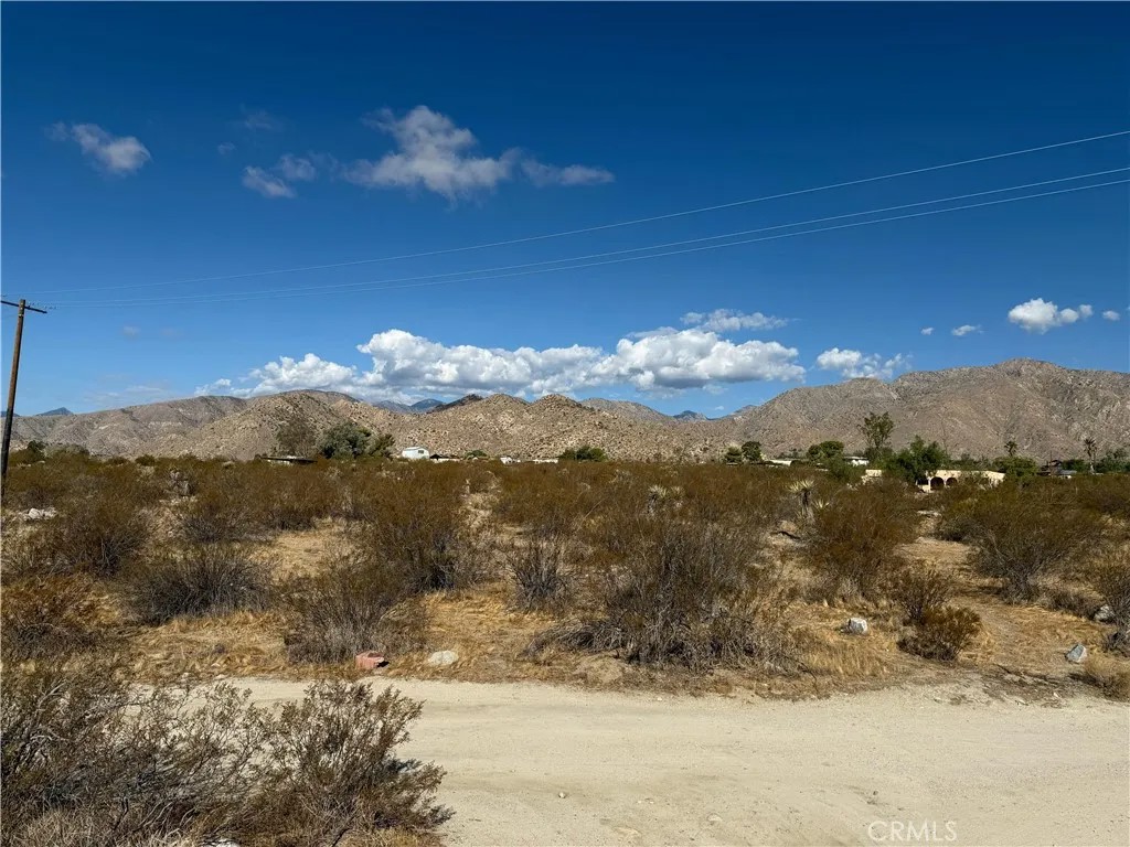 1 Twentynine Palms