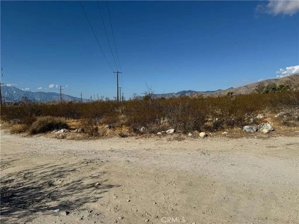 1 Twentynine Palms