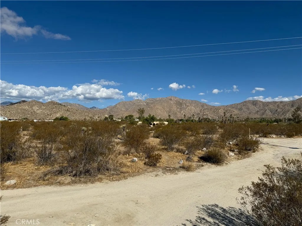 1 Twentynine Palms