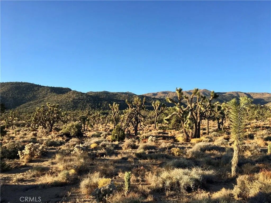 Photo of 0 Vista, Lucerne Valley, CA 92356 (MLS # JT26062343)