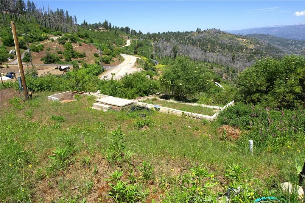 43565 Alder Springs
