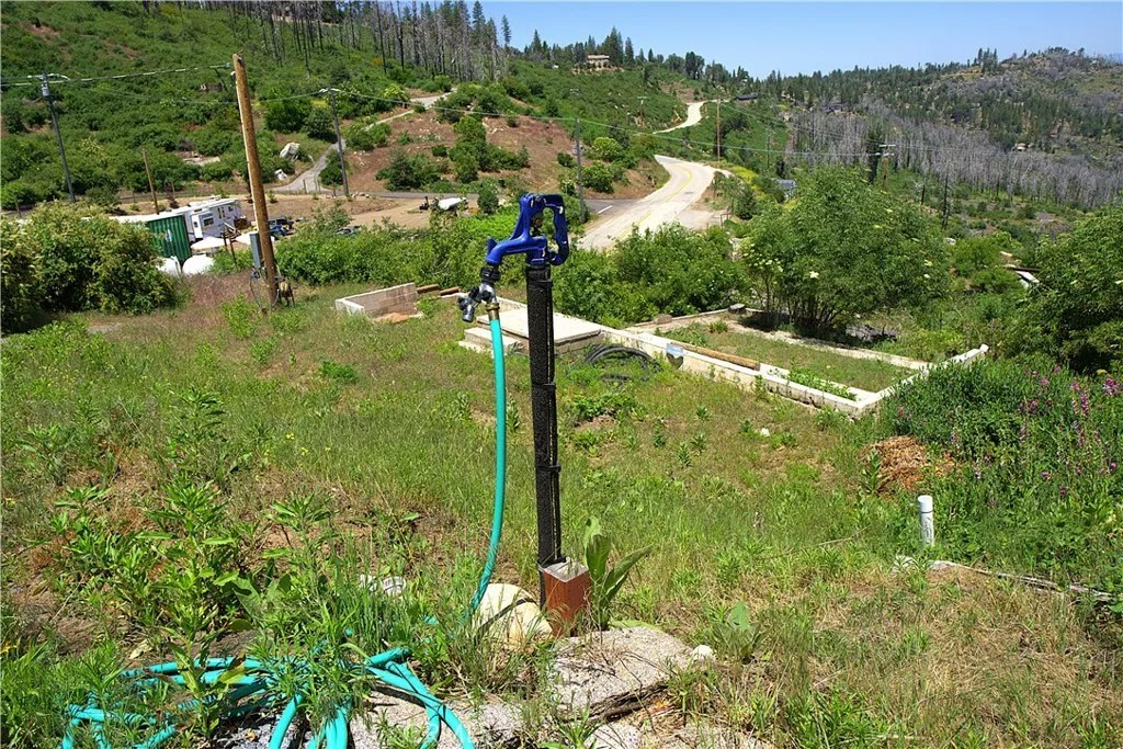43565 Alder Springs