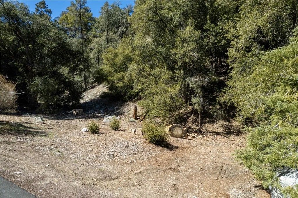 Photo of 1301 Bernina Dr, Pine Mountain Club, CA 93222 (MLS # SR26112644)