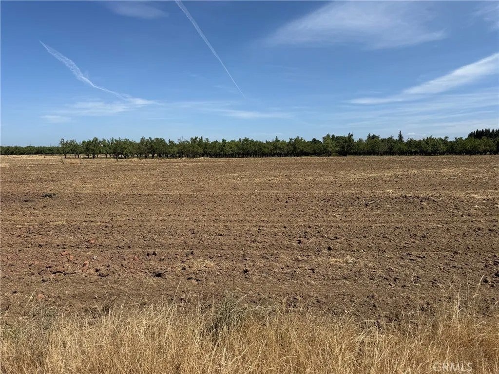 Photo of 0 Jones, Durham, CA 95938 (MLS # SN26145067)