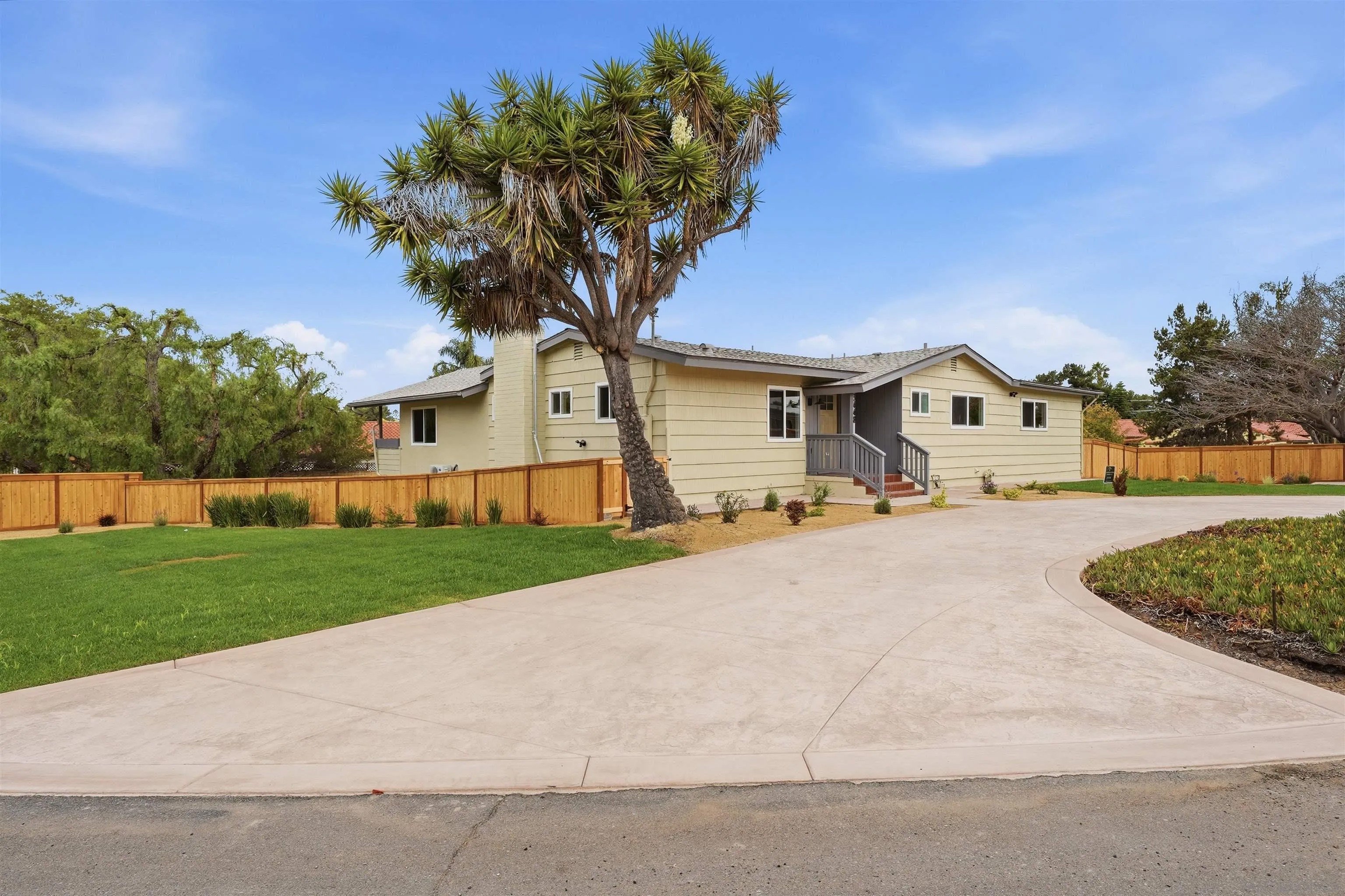 3448 Willow