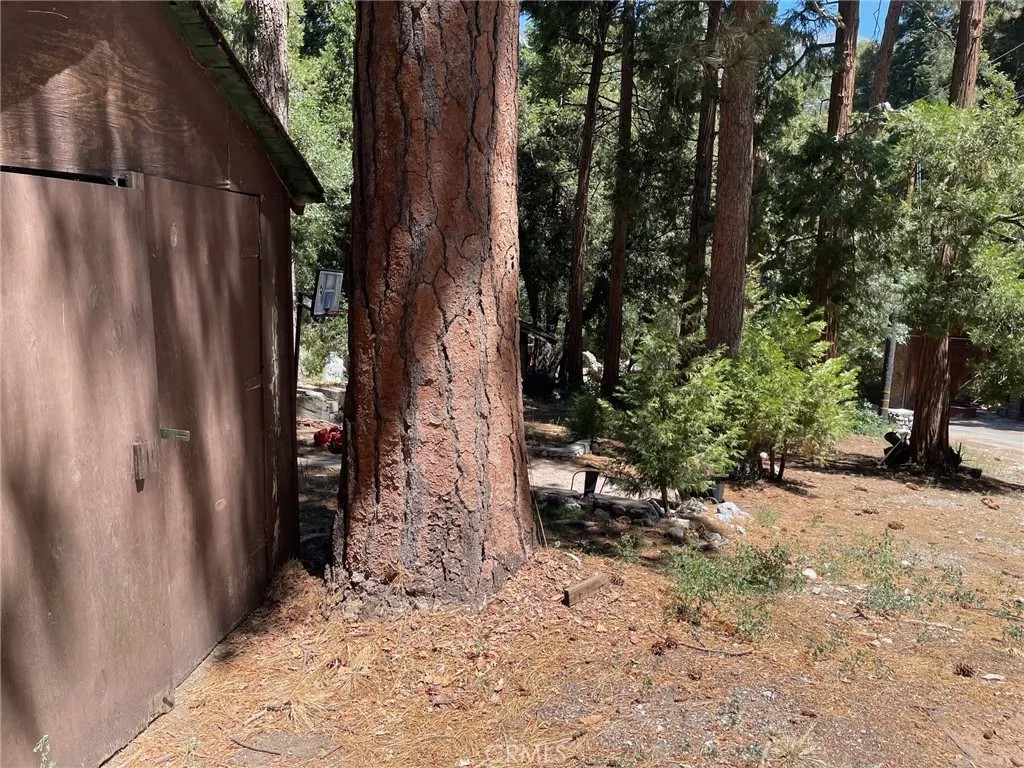 0 Cedar
