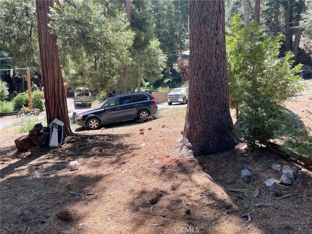 0 Cedar