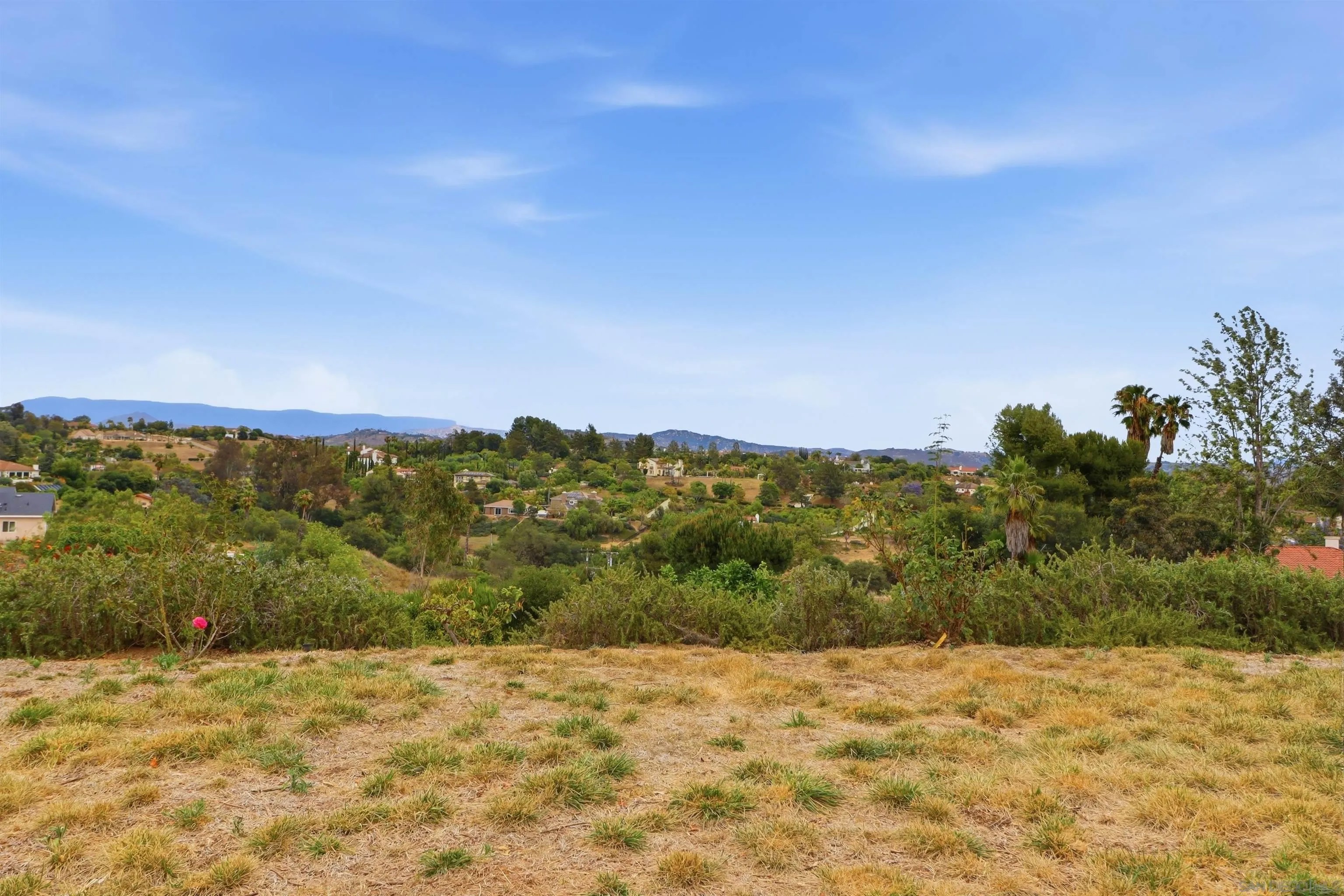 3844 Alta Vista