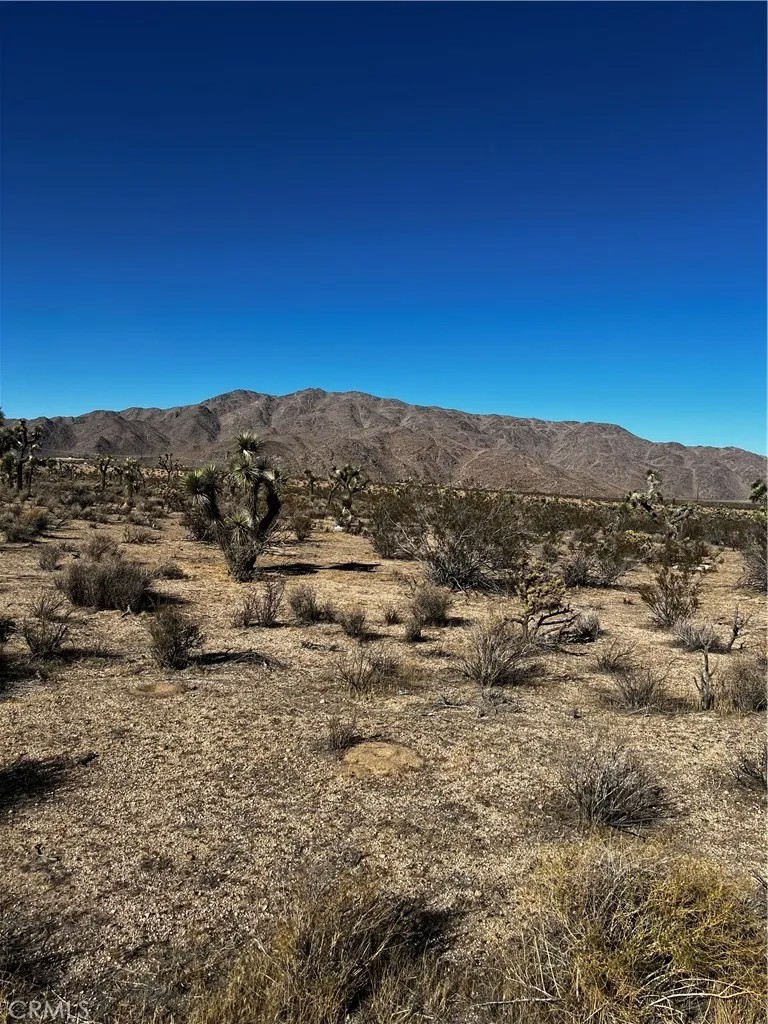 0 Canyon View