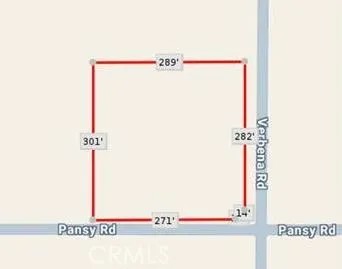0 Pansy & Verbena 2acres