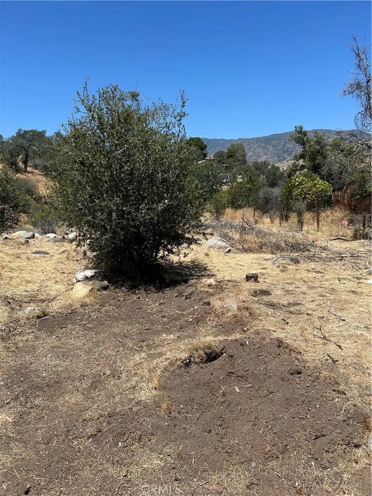 248 Bodfish Canyon