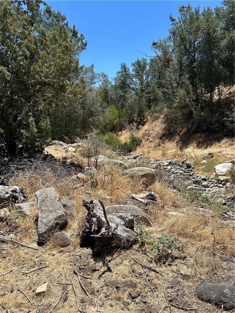 248 Bodfish Canyon