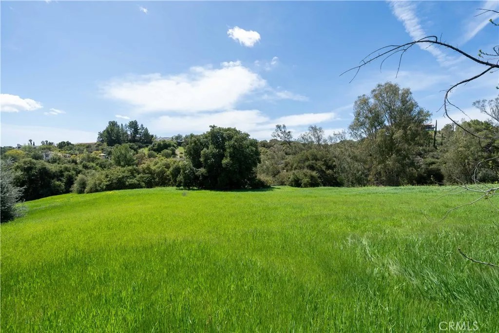 24415 Mulholland