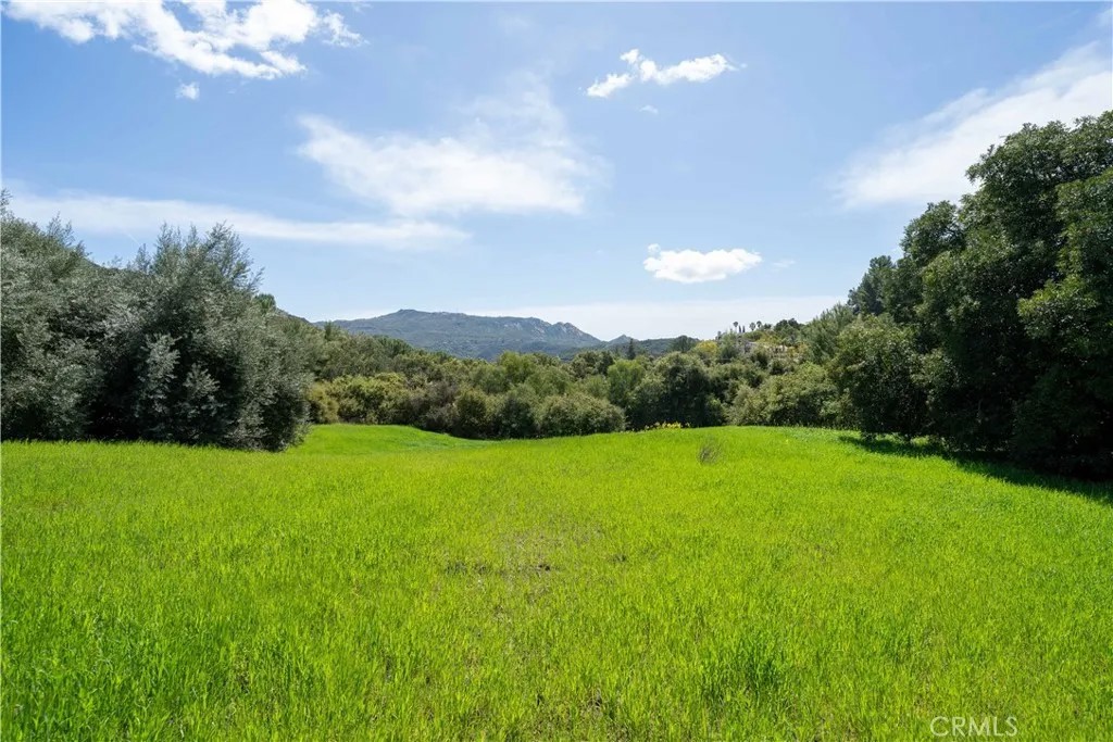24415 Mulholland