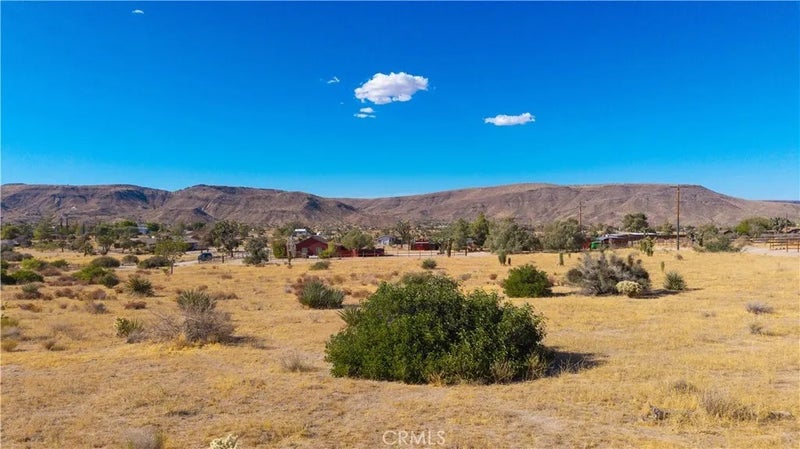 5525 Minna Gombell