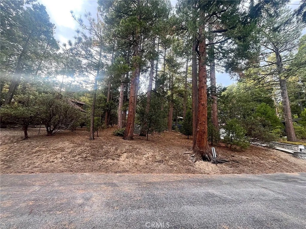 Photo of 0 Double Tree Dr, Idyllwild, CA 92549 (MLS # IG26231481)
