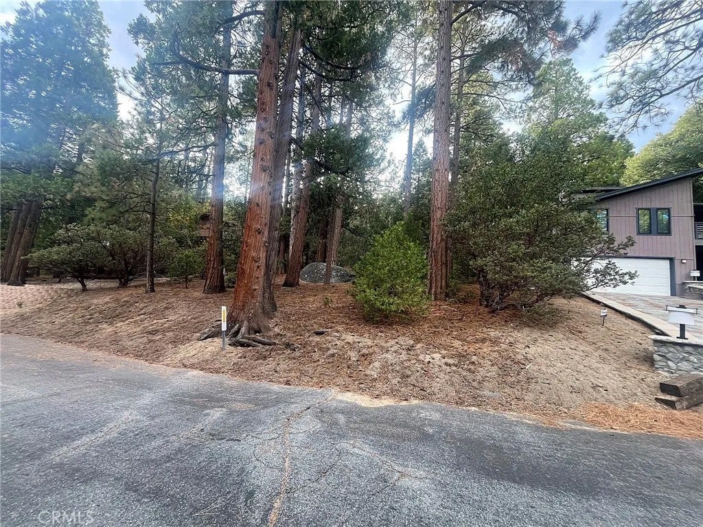 Photo of 0 Double Tree Dr, Idyllwild, CA 92549 (MLS # IG26231481)