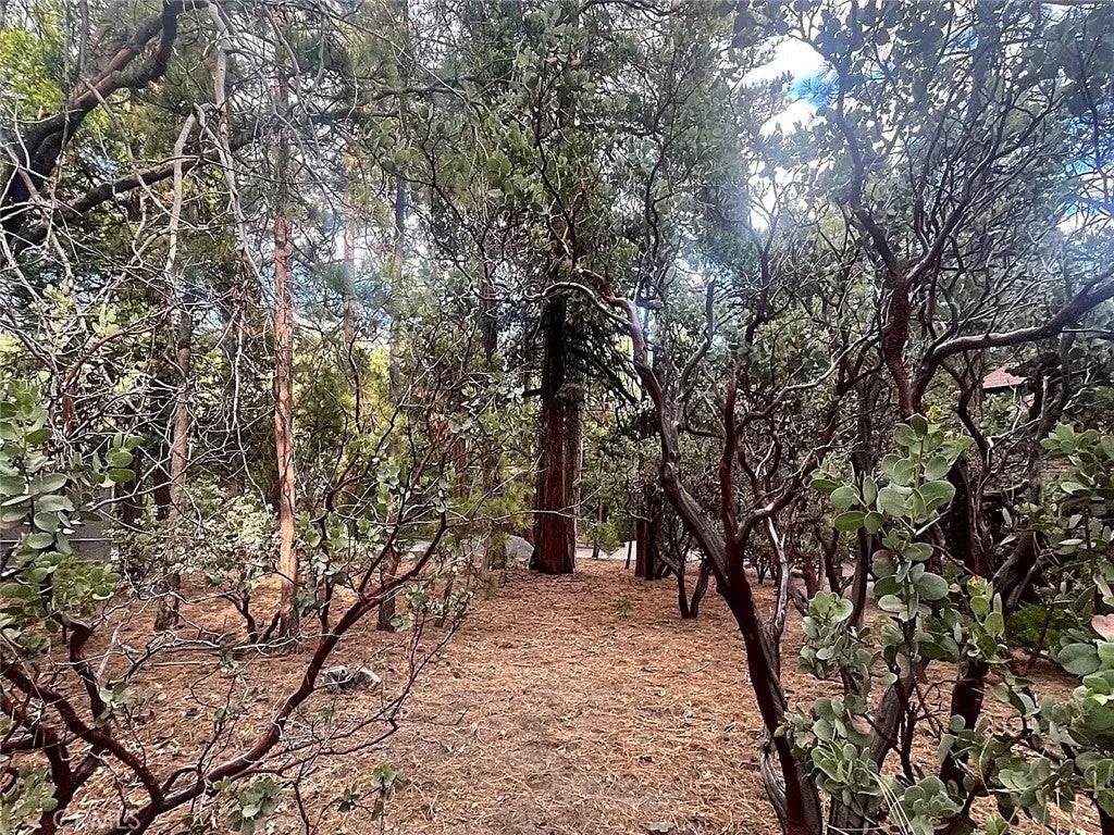 Photo of 0 Double Tree Dr, Idyllwild, CA 92549 (MLS # IG26231481)