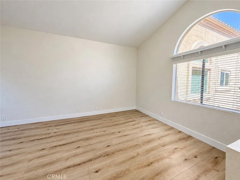 21156 Gladiolos