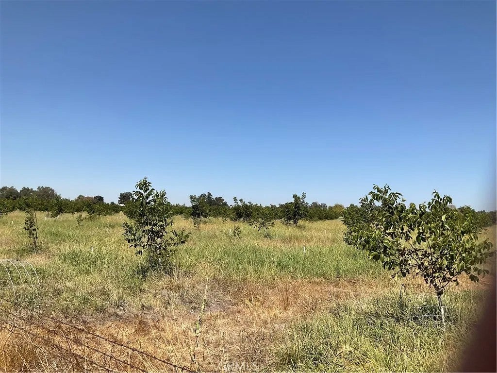Photo of 0 Richfield, Corning, CA 96021 (MLS # SN26221286)