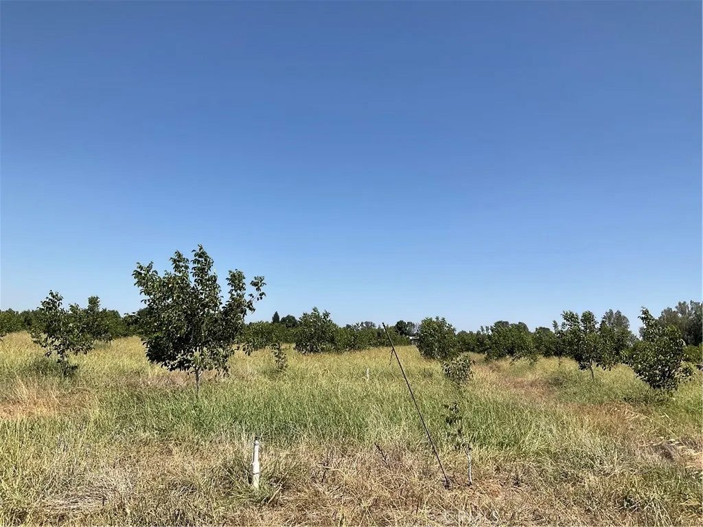 Photo of 0 Richfield, Corning, CA 96021 (MLS # SN26221286)