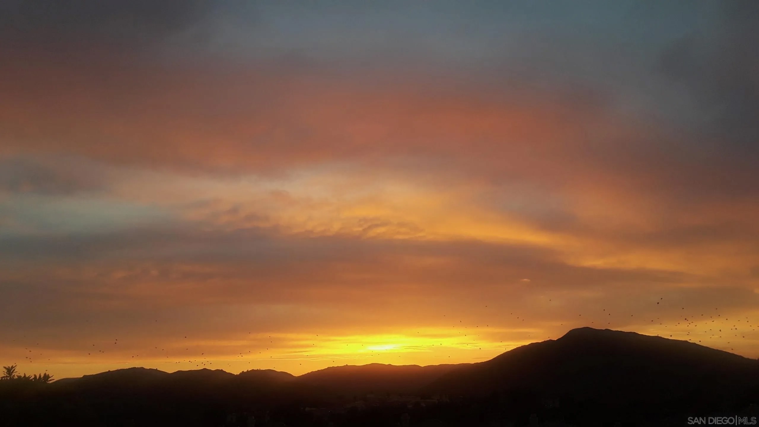 18557 Caminito Pasadero 389