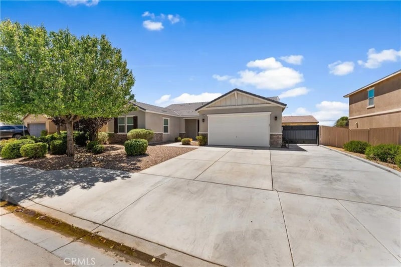 44635 Camolin