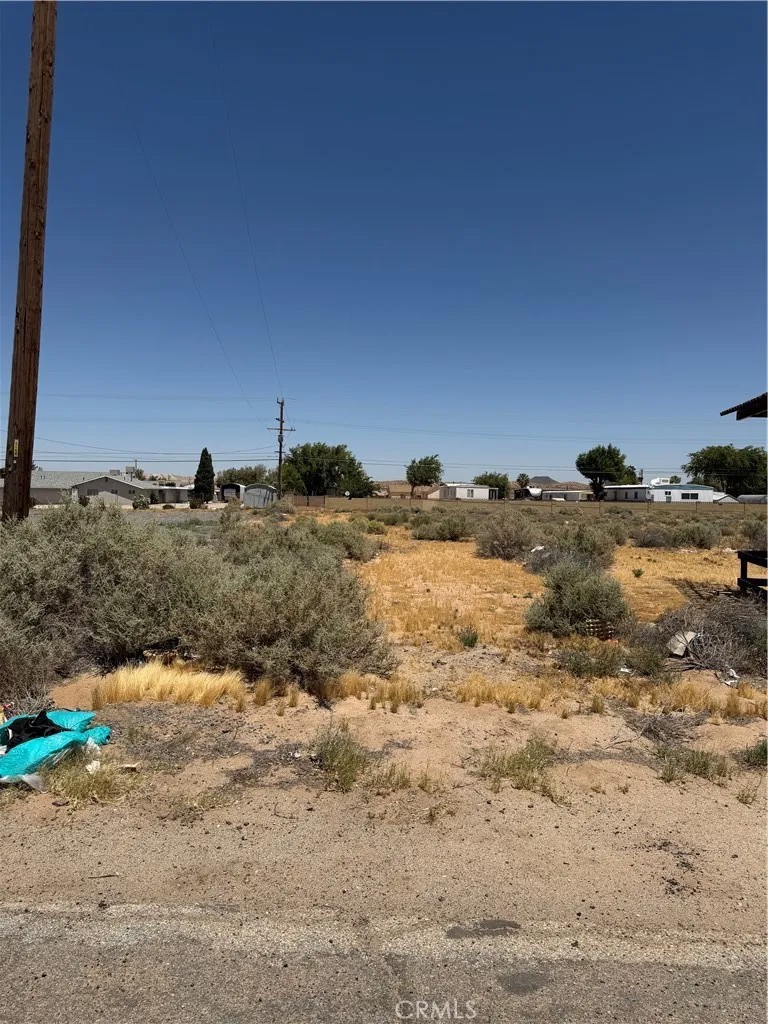 0 Twenty Mule Team Road