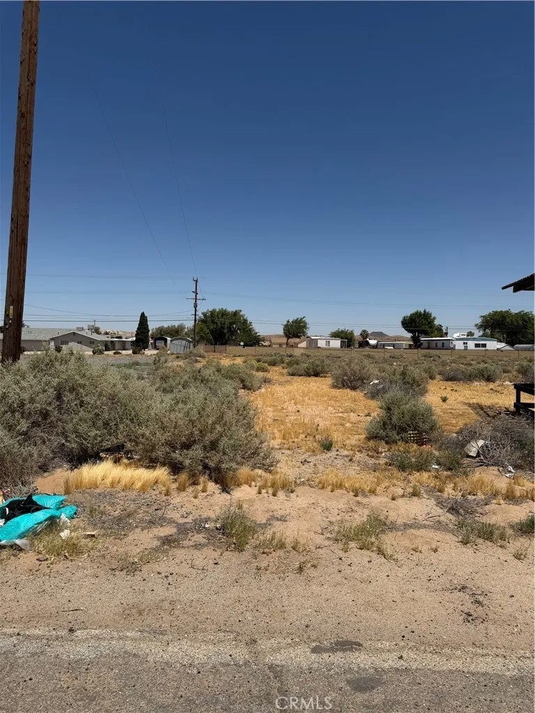 0 Twenty Mule Team Road