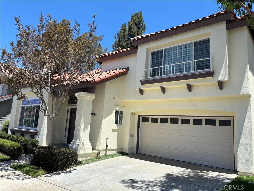 8239 E Star Pine