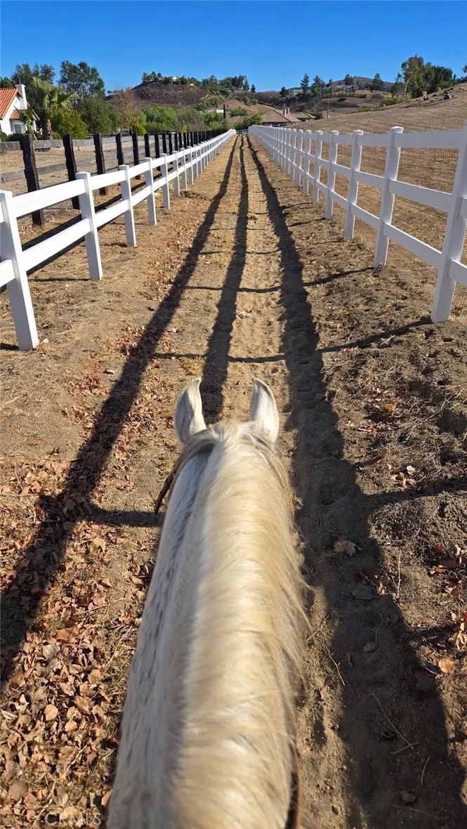 19315 Avenida Cordoba