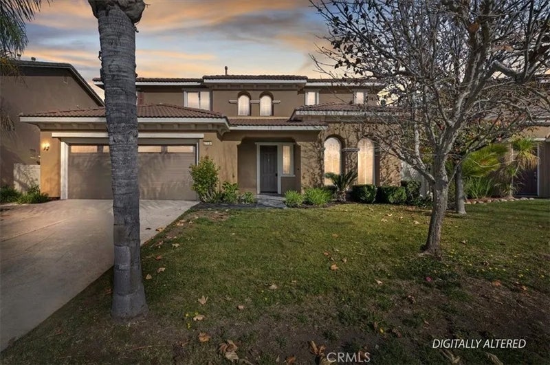 27737 Hackberry